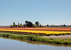 2018-05-04 13-21-27 0021 Bloembollenvelden Hillegom