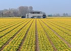 2019-03-22 13-10-43 064 Bollenstreek