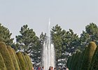 2019-04-07 12-18-15 0064 Keukenhof