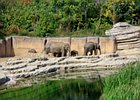 2018-09-29 13-22-32 0037 Dierentuin Wildlands Emmen