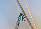 2011-07-10 20-05-46 0009 Waterjuffer