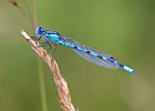 2012-06-26 19-08-01 0016-Edit Waterjuffer
