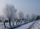 2012-02-04 10-30-05 0037 Kinderdijk, Winter 2012