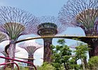 2012-10-28 07-05-28 0076 Gardens by the Bay