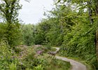 2015-06-13 15-26-00 0096 Ards Forest Park