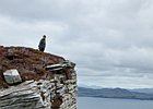 2015-06-13 12-18-47 0005 Horn Head