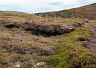 2015-06-13 12-44-53 0024 Horn Head