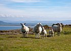 2015-06-09 18-26-54 0177 Stroove Lighthouse, Dunnagree, Inishowen Head