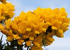 2015-06-15 12-05-39 0007 Beaghmore Stone Circels