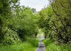 2015-06-04 17-25-02 0134 Carnlough, Cranny Fall