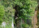 2015-06-04 17-37-44 0155 Carnlough, Cranny Fall