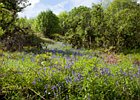 2015-06-05 12-27-51 0017 Glenariff Waterfalls & Forest Park
