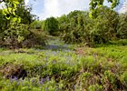 2015-06-05 12-28-43 0019 Glenariff Waterfalls & Forest Park