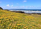 2015-06-08 13-16-29 0012 Castlerock