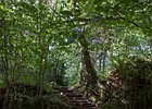 2015-06-08 18-25-06 0135 Roe Valley Country Park