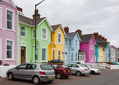 Whitehead