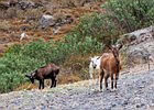 2013-10-05 10-07-16 0011 Kourtaliotiko canyon