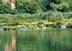 2007-08-23 13-02-50 0038 Vakantie 2007, Krka, Kroatie