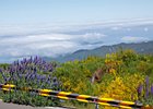 2016-06-20 16-54-33 117 Pico do Arieiro, Madeira