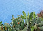 2016-06-16 14-08-53 044 Ponta do Pargo, Madeira