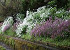 2016-06-17 14-31-05 014 25 Fontes, Rabacal, Madeira