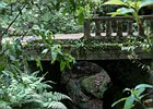 2016-06-19 16-19-26 088 Ribeiro Frio, Madeira