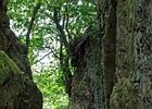 2016-06-19 16-37-57 099 Ribeiro Frio, Madeira