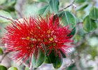 2016-06-18 12-52-04 024 Seixal, Madeira