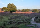 2019-08-25 08-20-09 0002 Posbank Veluwezoom