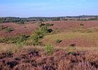 2019-08-25 09-28-36 0062 Posbank Veluwezoom