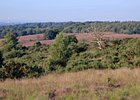 2019-08-25 09-32-35 0063 Posbank Veluwezoom