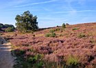 2019-08-25 09-53-32 0072 Posbank Veluwezoom